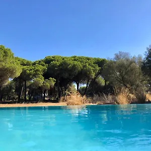  Lodge Micielo - Baumhaeuser